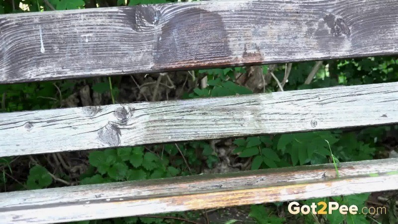 Stunning brunette cant stop peeing on a bench #67486296