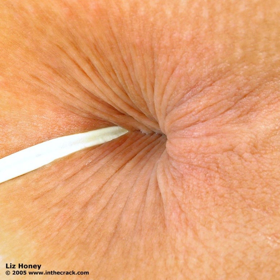 Liz honey
 #70112584