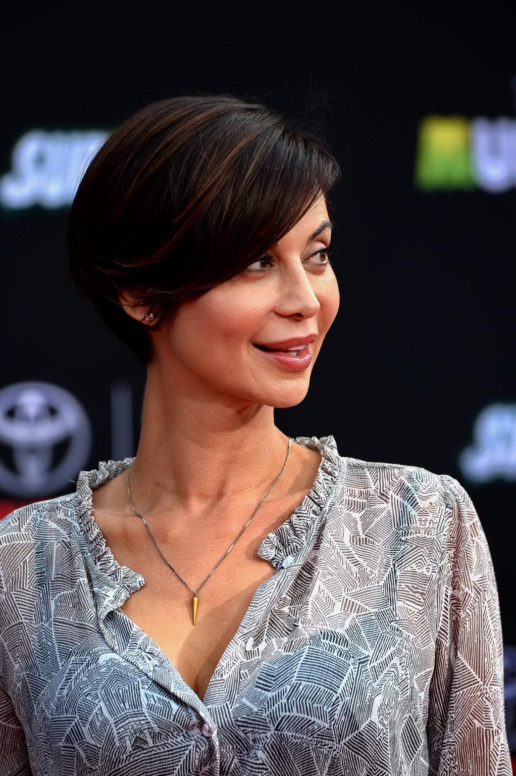 Catherine Bell see through to bra at the premiere in Hollywood #75202121