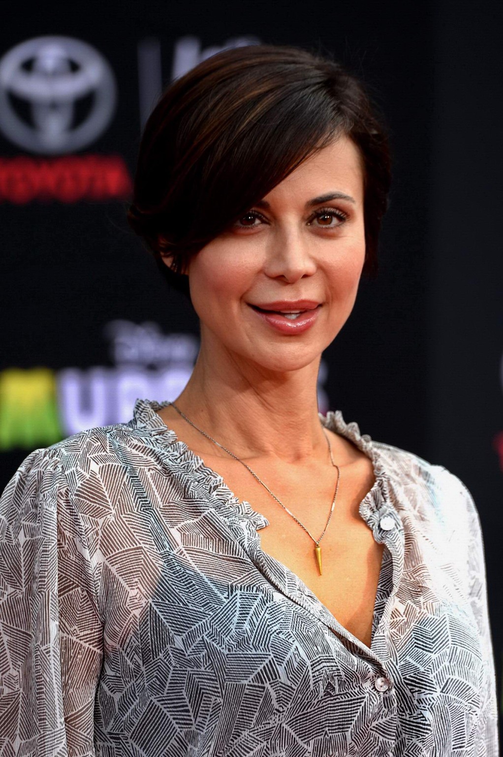 Catherine Bell see through to bra at the premiere in Hollywood #75202150