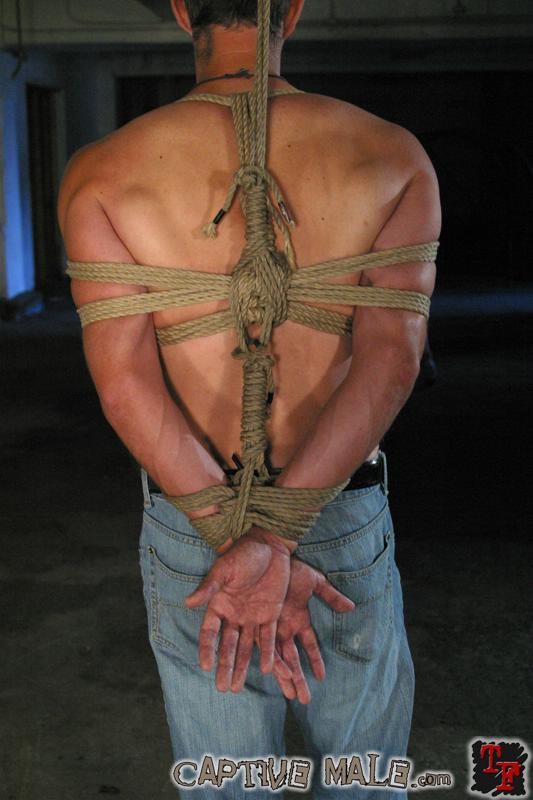 Schiavo maschio legato e torturato con uno strap on da una femdom
 #72189079