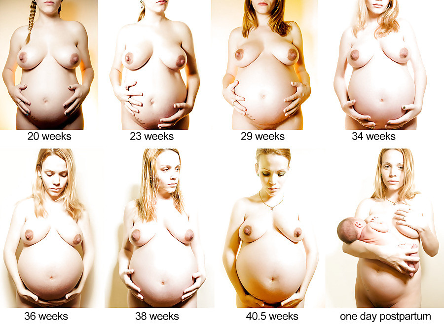 Nude amateur pregnant hotties #67718538