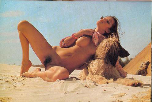 Classic pornstar Brigitte Lahaie fucked in vintage porn pictures #72580136