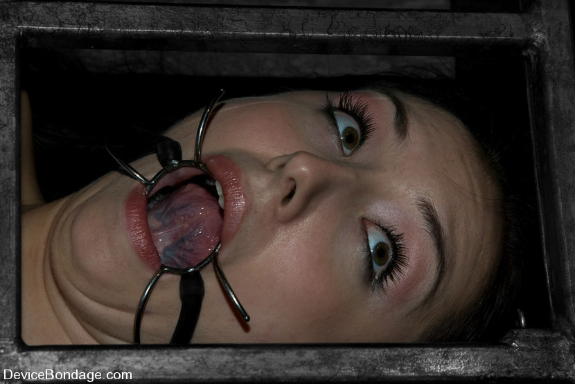 Sister Dee gets severely bound and punished in dark dungeon #71920793