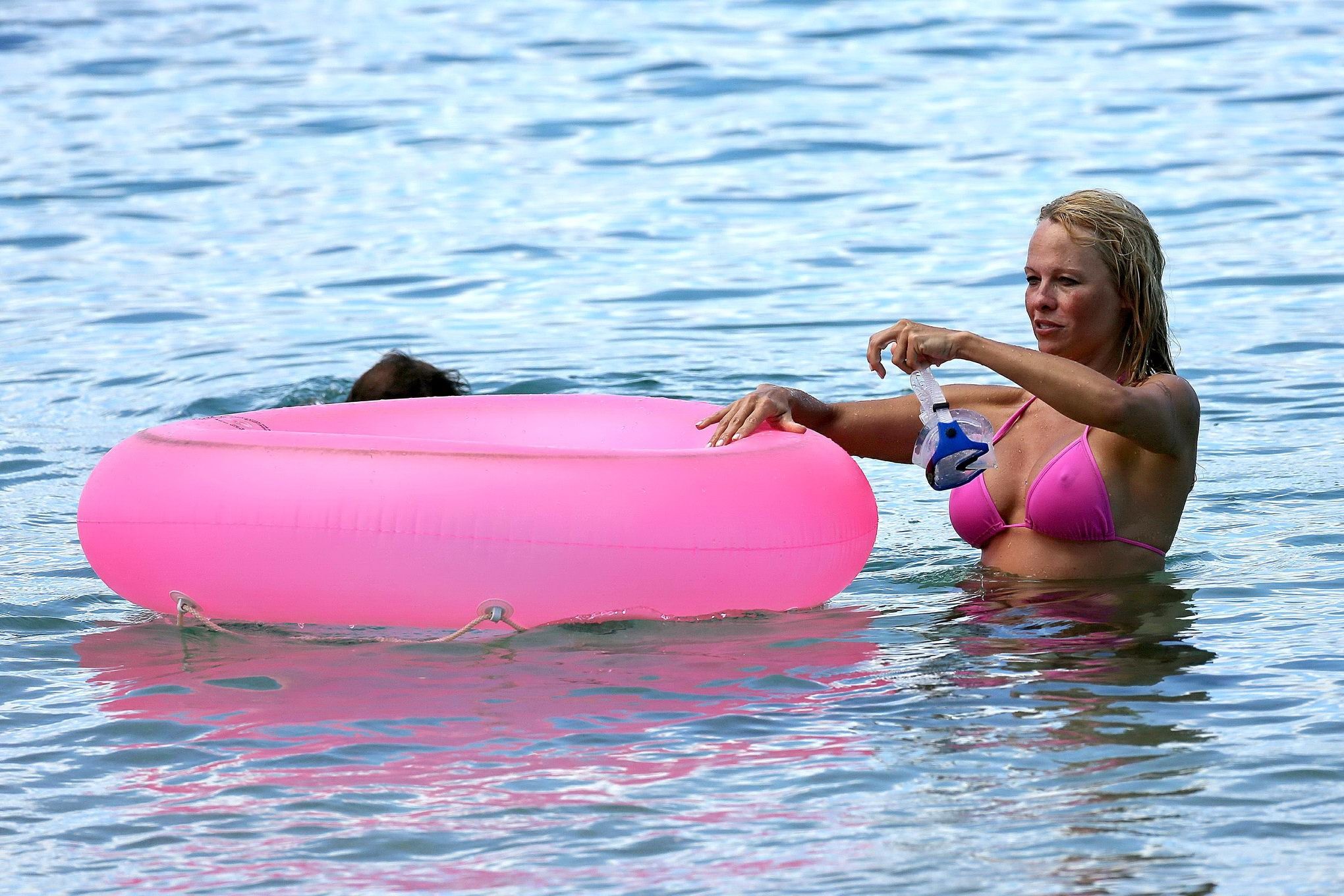 Busty Pamela Anderson Showing Pokies In A Wet Pink Bikini While Snorkeling On A 