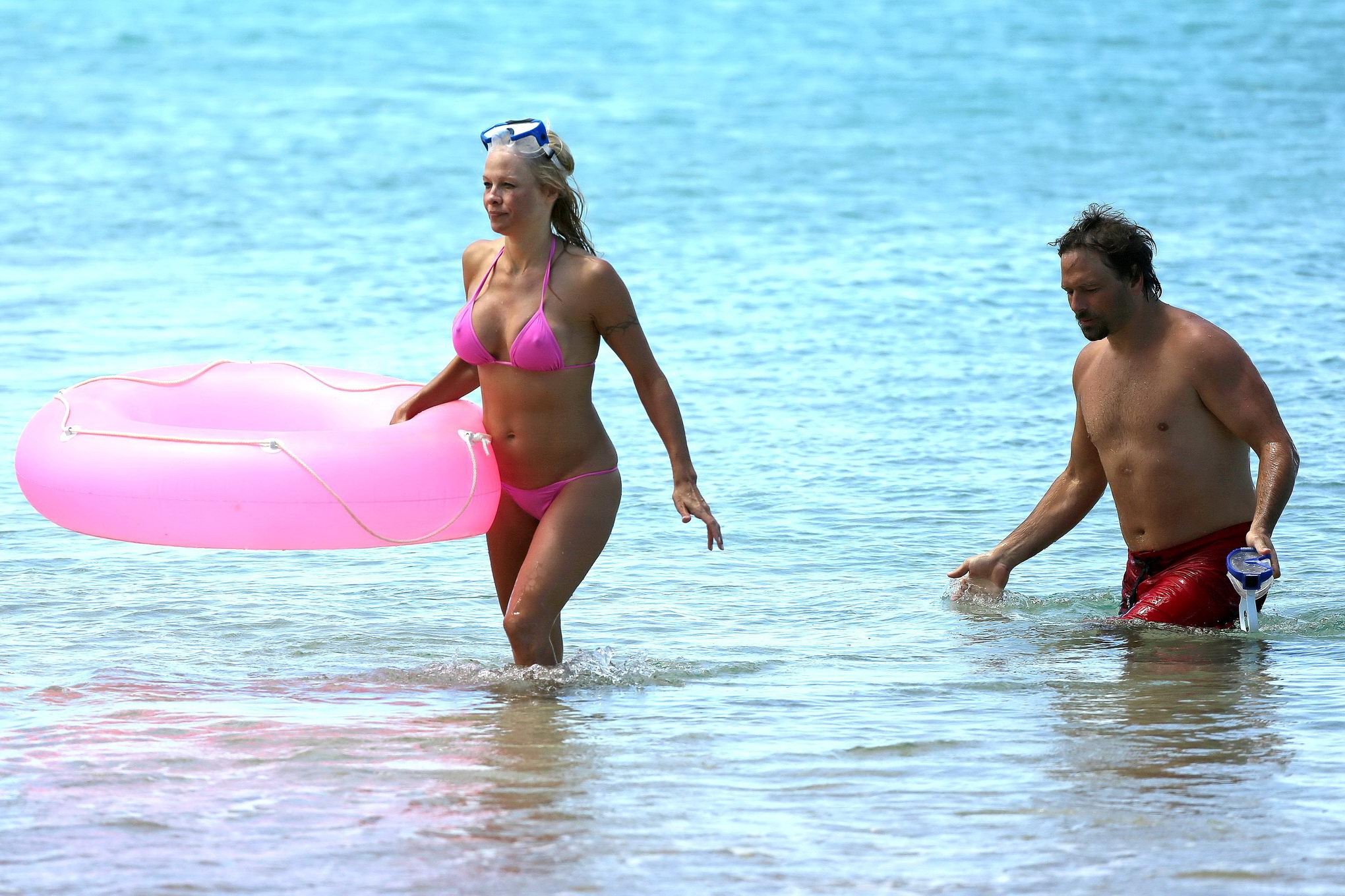 Pamela anderson, plantureuse, montre ses pokies dans un bikini rose mouillé alors qu'elle fait de la plongée en apnée sur une plage. 
 #75221519