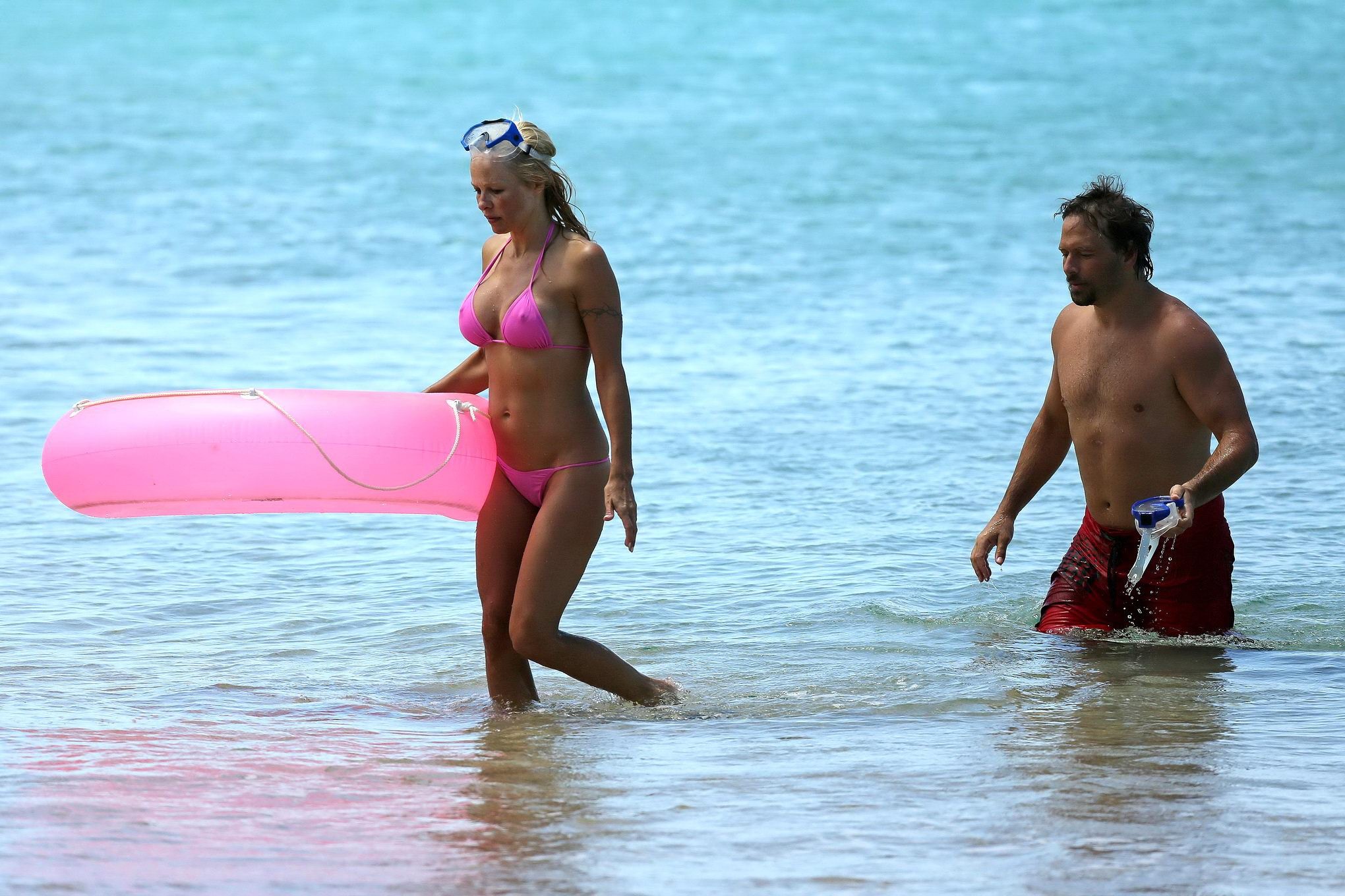 Pamela anderson, plantureuse, montre ses pokies dans un bikini rose mouillé alors qu'elle fait de la plongée en apnée sur une plage. 
 #75221525