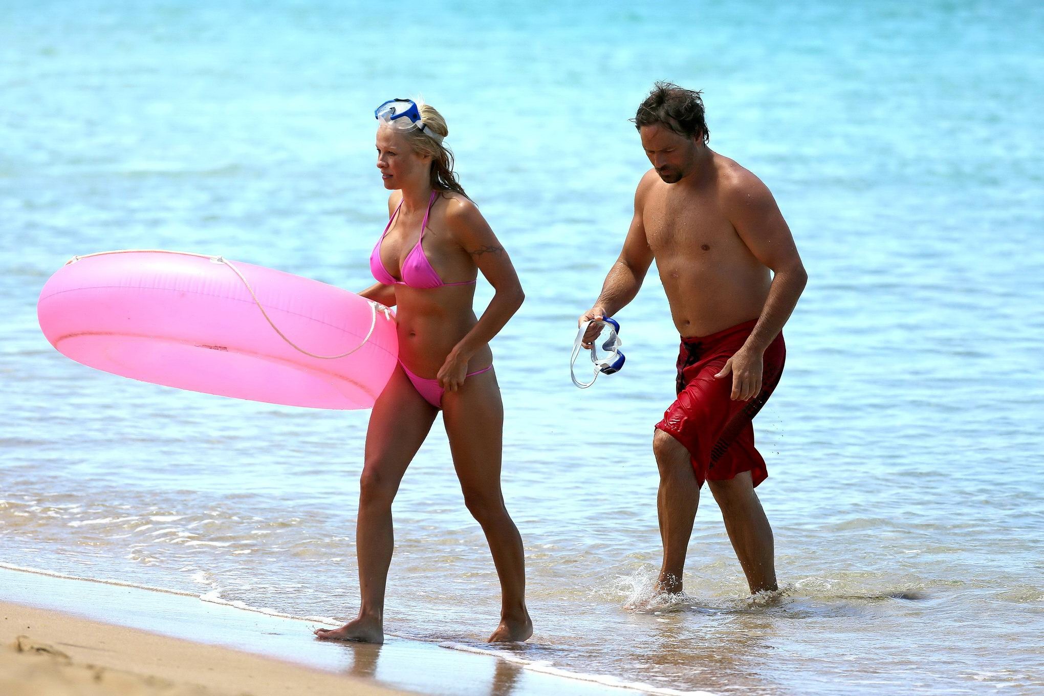 Busty Pamela Anderson showing pokies in a wet pink bikini while snorkeling on a  #75221538