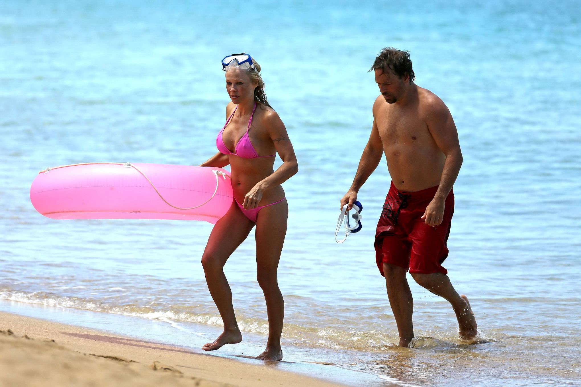 Pamela anderson, plantureuse, montre ses pokies dans un bikini rose mouillé alors qu'elle fait de la plongée en apnée sur une plage. 
 #75221547