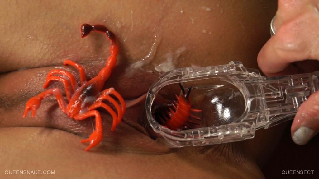 extreme bizarre pussy insertions #73218912