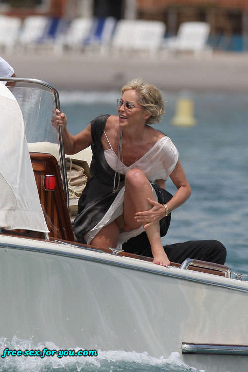 Sharon Stone showing her shaved pussy and big tits to paparazzi #75418982