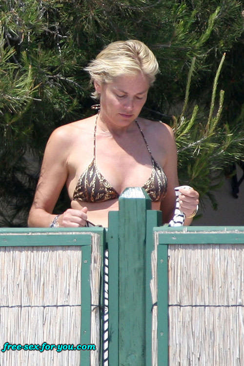 Sharon Stone showing her shaved pussy and big tits to paparazzi #75419002