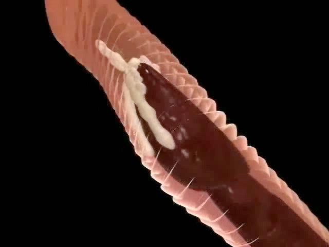 敵から性的な拷問を受けるベイビー
 #69361463