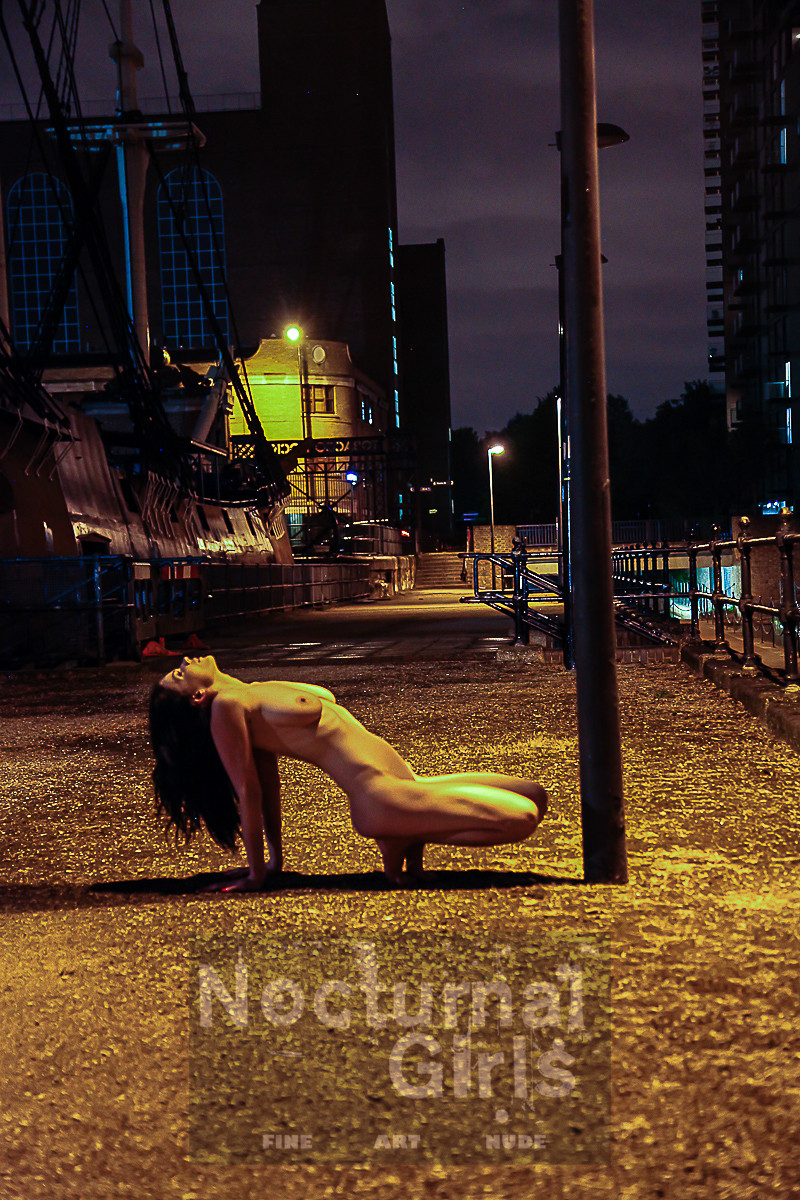 Tasha Holz posing nude in the night time #72963093