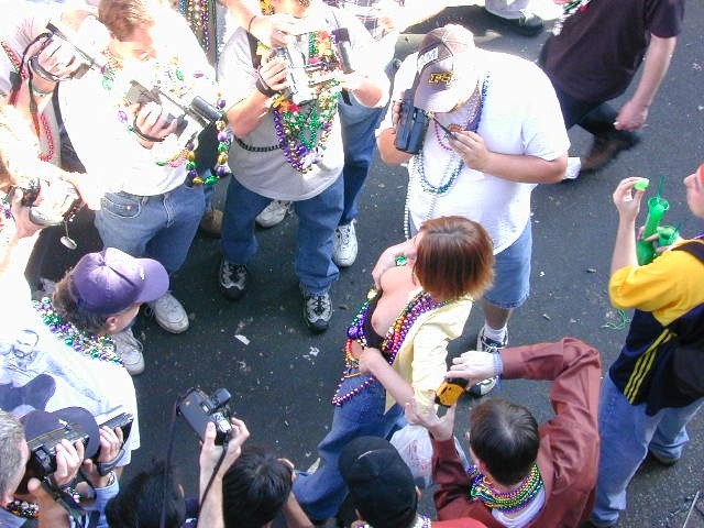 Betrunkene Mardigras-Küken werden wild und zeigen der Menge ihre Titten
 #76397064