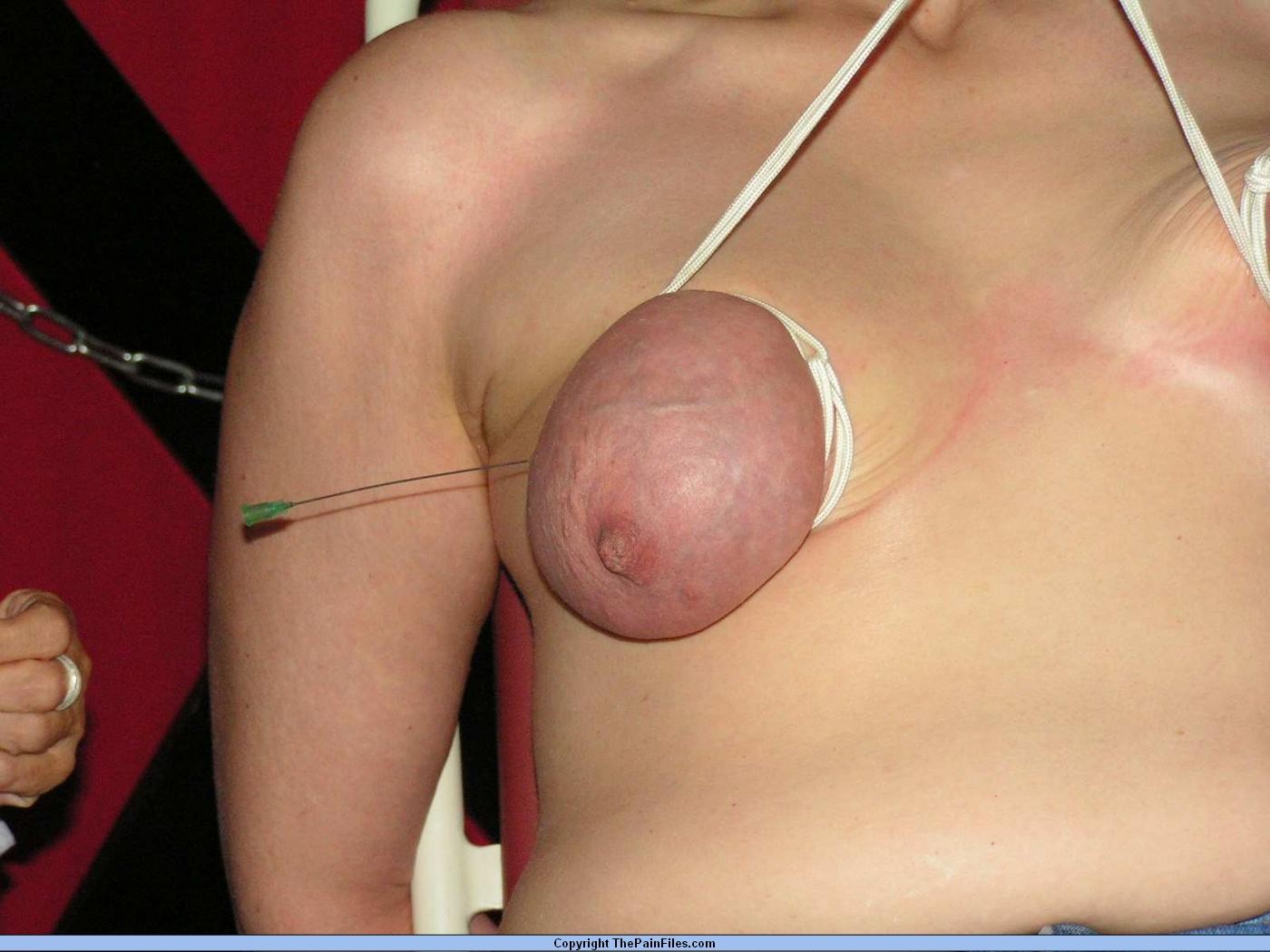 Esclave bdsm amateur sévère dans une douleur à l'aiguille et une suspension extrême des seins d'une femme mûre.
 #72181690