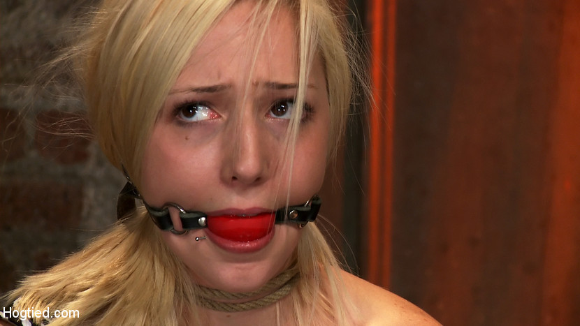 Rylie Richman hot blonde bound in rope is made to cum #72065430