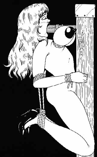 Riesige weibliche Brüste gefesselt und gebunden in bösen Bondage Kunst
 #69662118