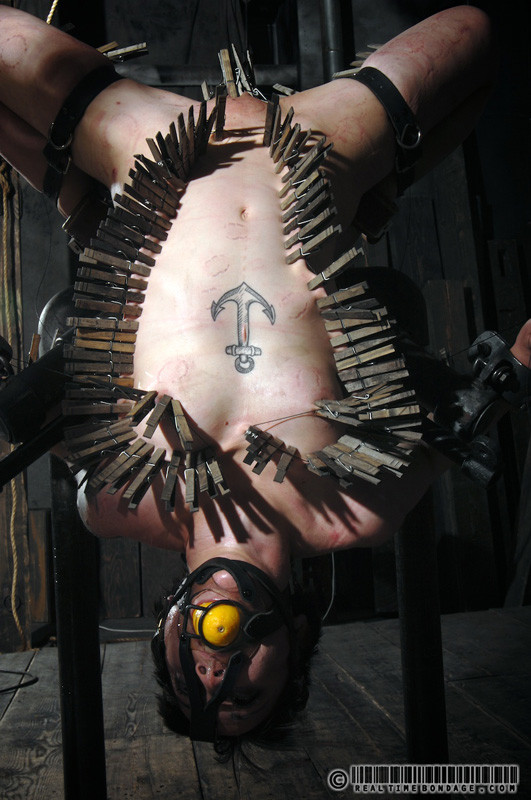 Muy pocas de las chicas que traemos a realtimebondage
 #72023539