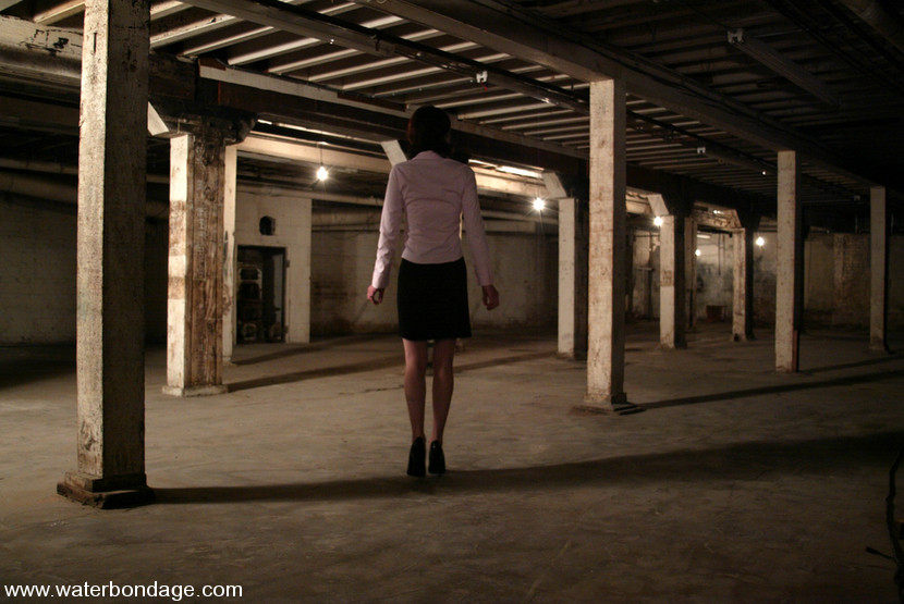Lynn finds herself in a dark, damp basement #72168684