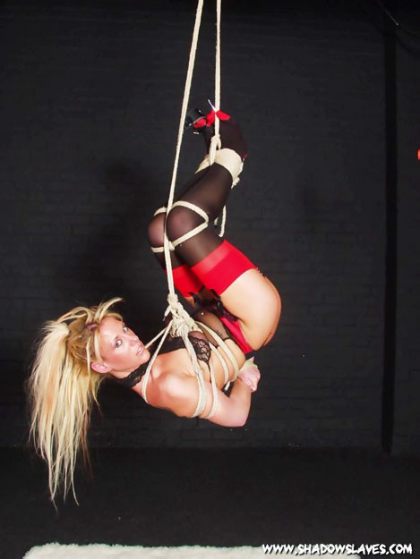 Kinky blonde tied up and suspended #72213371
