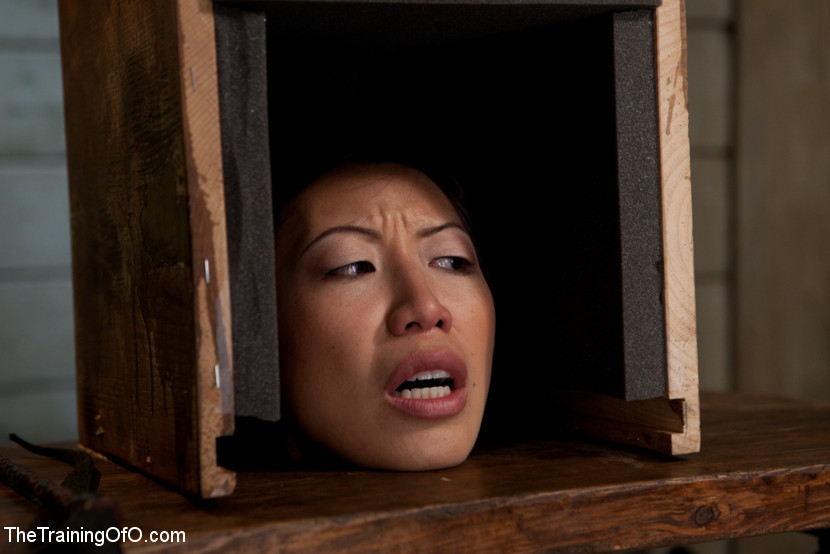 Una asiática caliente es atada con los ojos vendados y follada
 #69885454