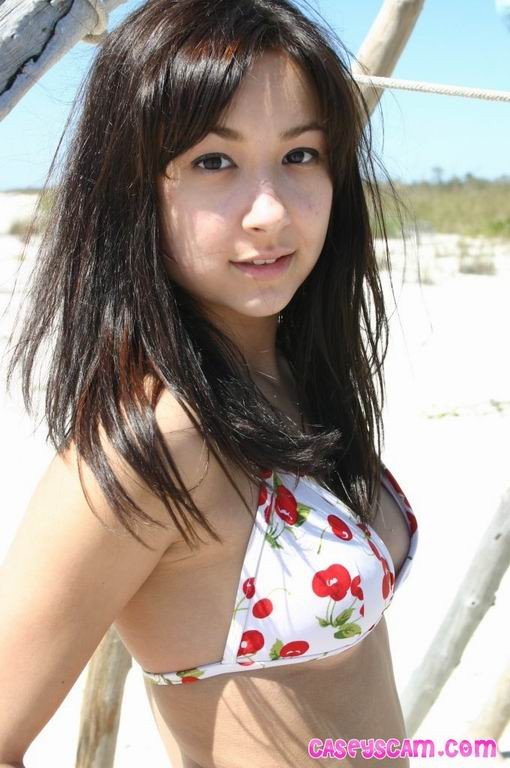Carina giovane asiatica in posa in bikini sulla spiaggia
 #70023782