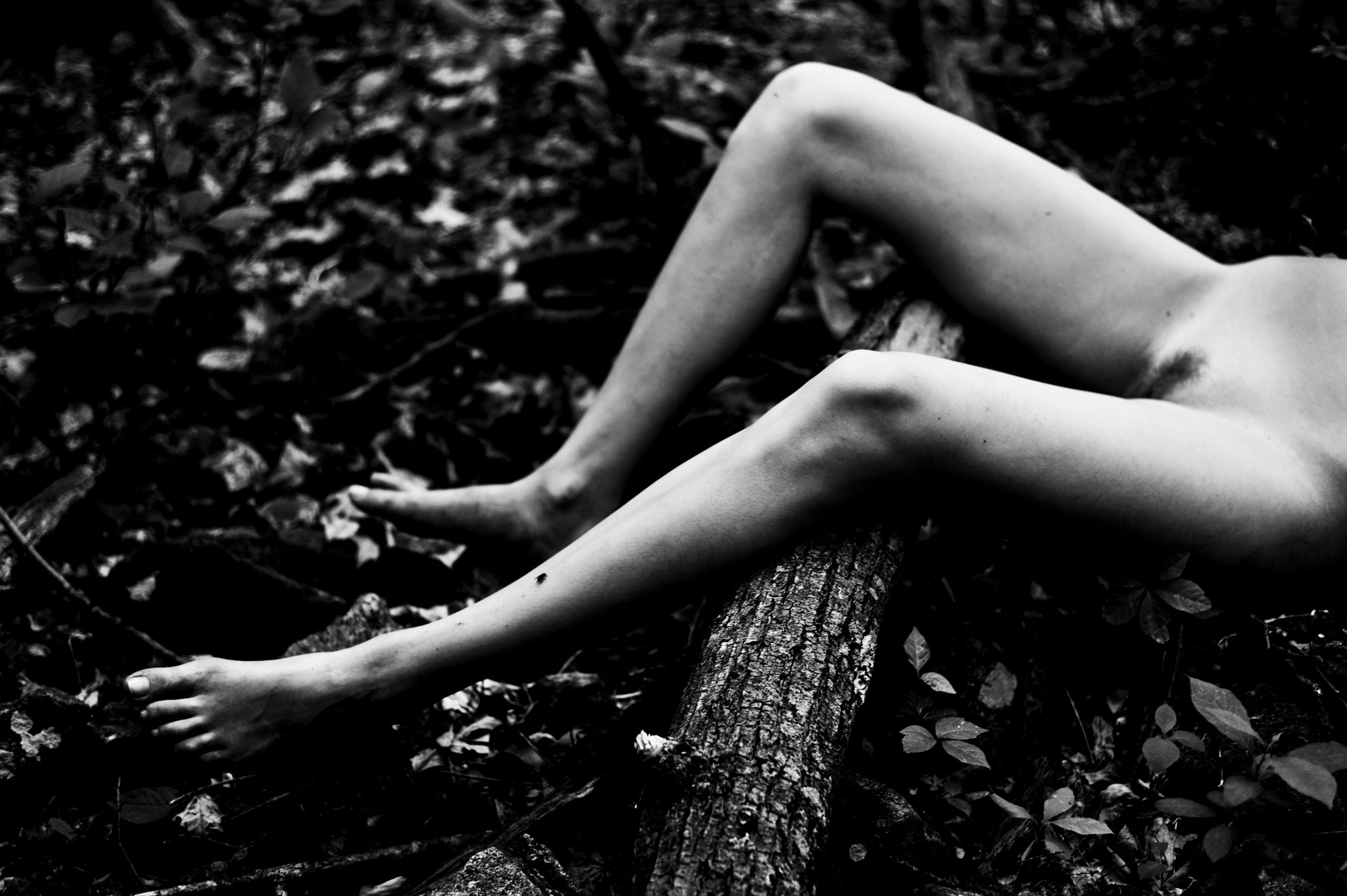 Anais Pouliot zeigt ihre Brüste und haarige Muschi in einem Chadwick Tyler Fotoshooting
 #75178123