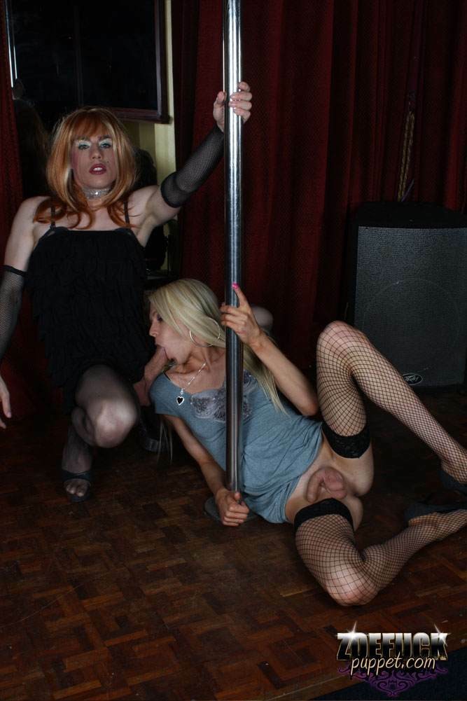 Two shemales getting it on #79265463