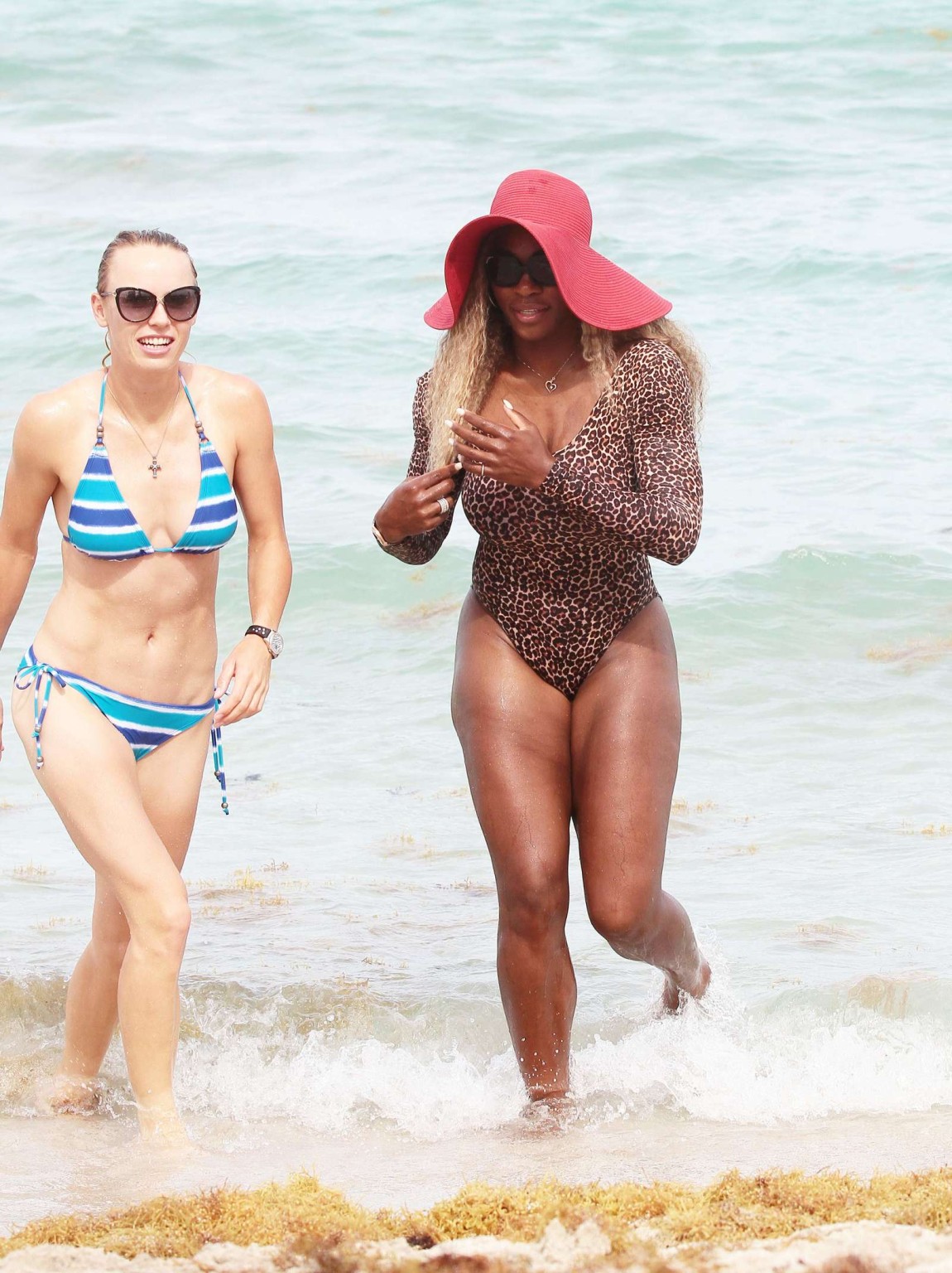 Serena Williams shows off her curvy body wearing a leopard print swimsuit on a b #75194859