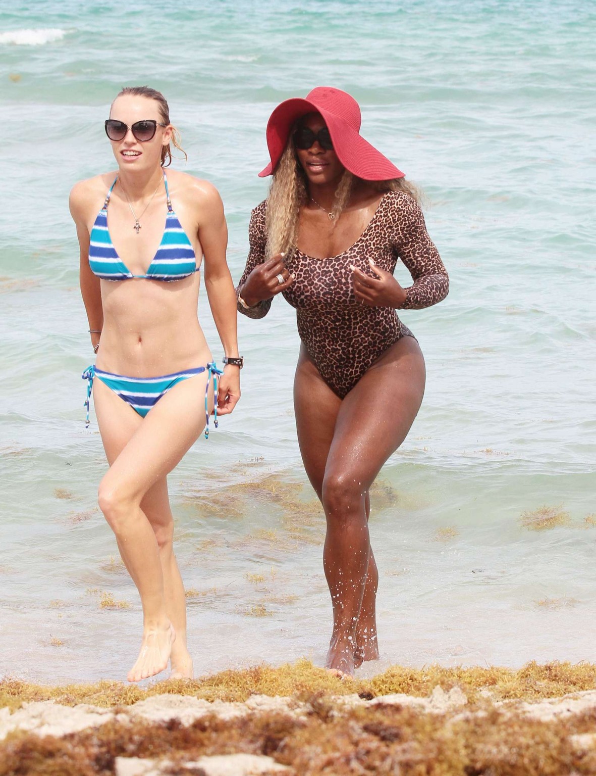 Serena Williams zeigt ihren kurvigen Körper in einem Leopardenprint-Badeanzug auf einer b
 #75194867