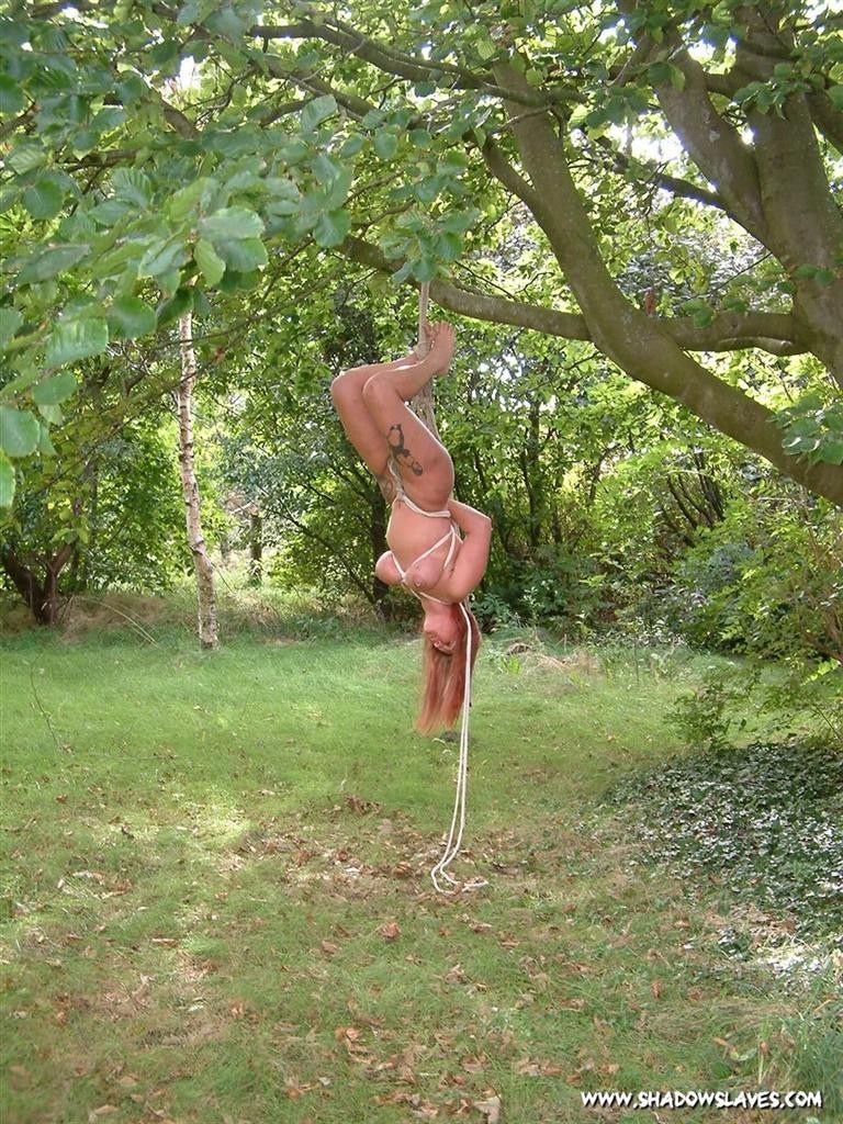Slave girl is tightly bound in rope and suspended from a tree #72212150