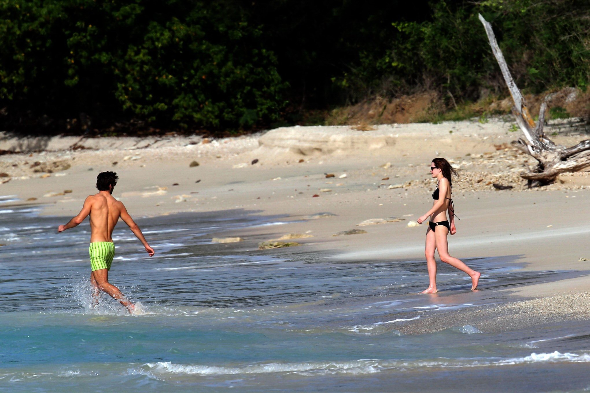 Emma Watson in black bikini petting with her boyfriend on a Carribean beach #75207896