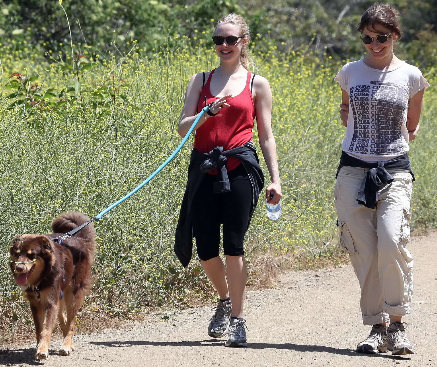 Amanda seyfried en collant débardeur rouge en randonnée dans le parc Griffith avec son chien an
 #75348140