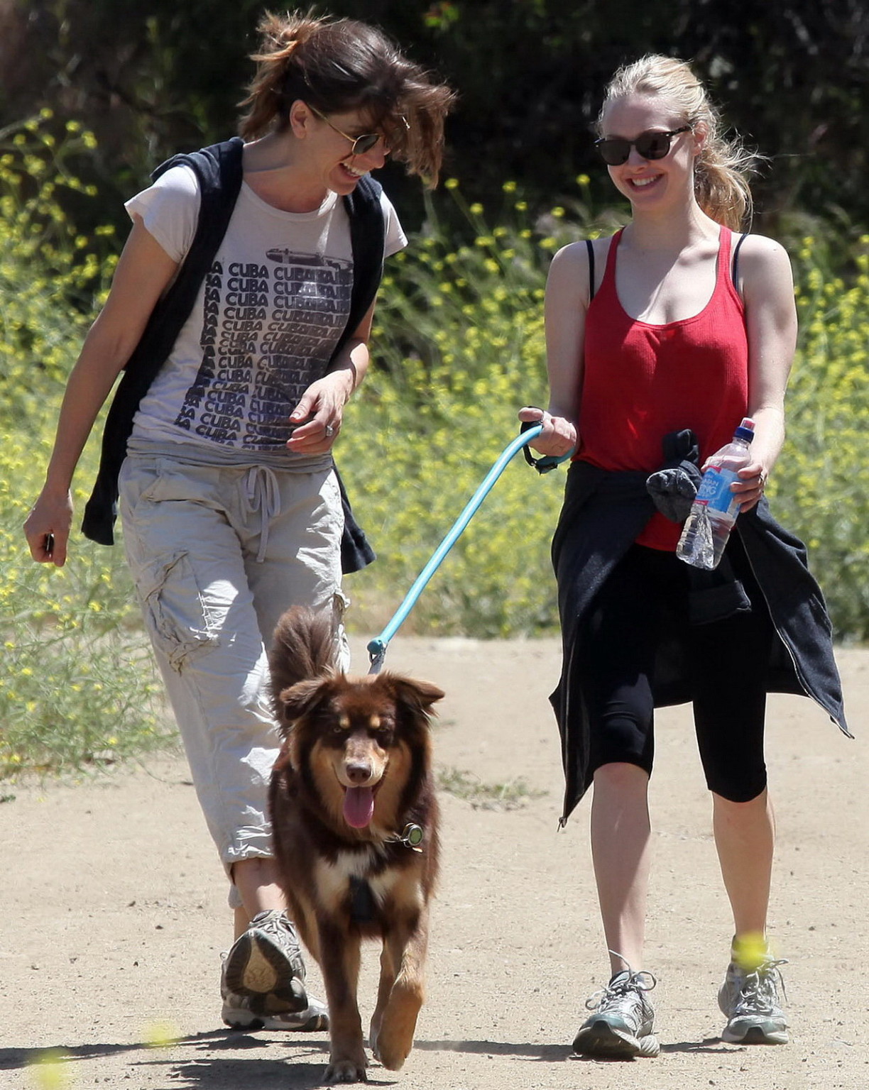 Amanda seyfried en collant débardeur rouge en randonnée dans le parc Griffith avec son chien an
 #75348142