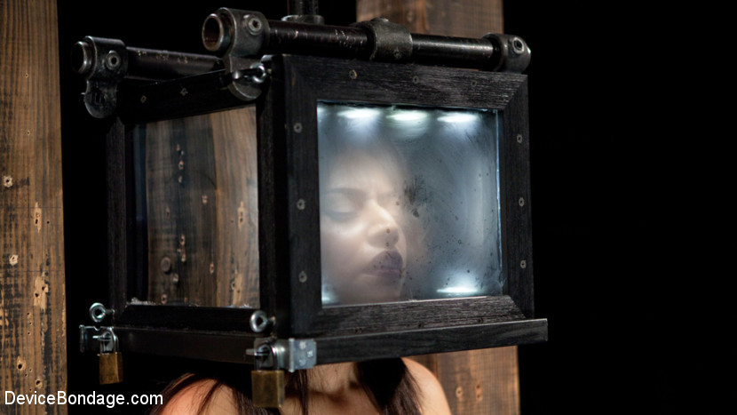 Sensorische Deprivation, Auspeitschen, Spanking, Nippelklammern, Heringe, Atemkontrolle, fe
 #71869454