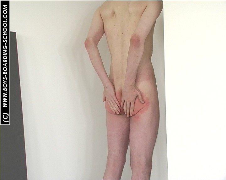 Böser Mann wird von dominanter Dame entkleidet und versohlt
 #67167110