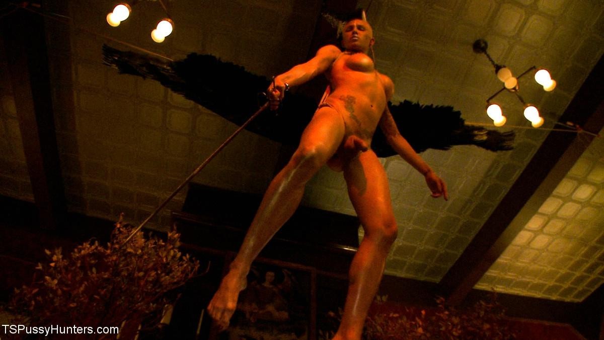 Bonus Party Update For Tax Day Ts Danni Daniels  Chloe Camilla #67135738