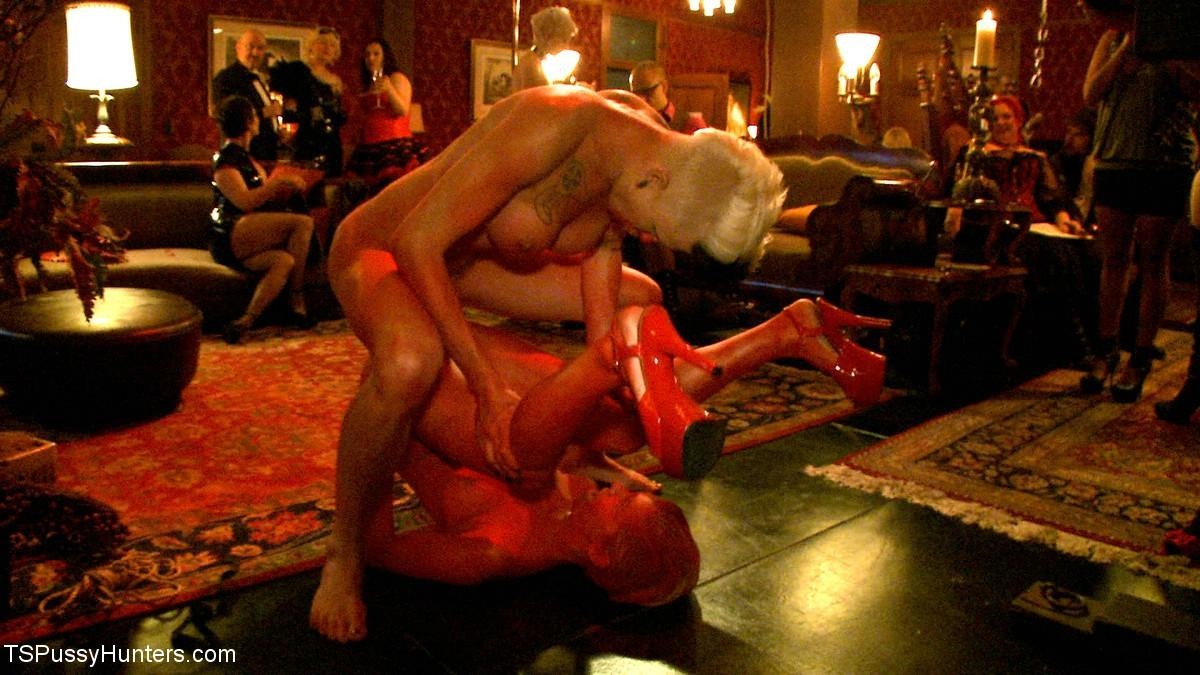 Bonus Party Update For Tax Day Ts Danni Daniels  Chloe Camilla #67135804