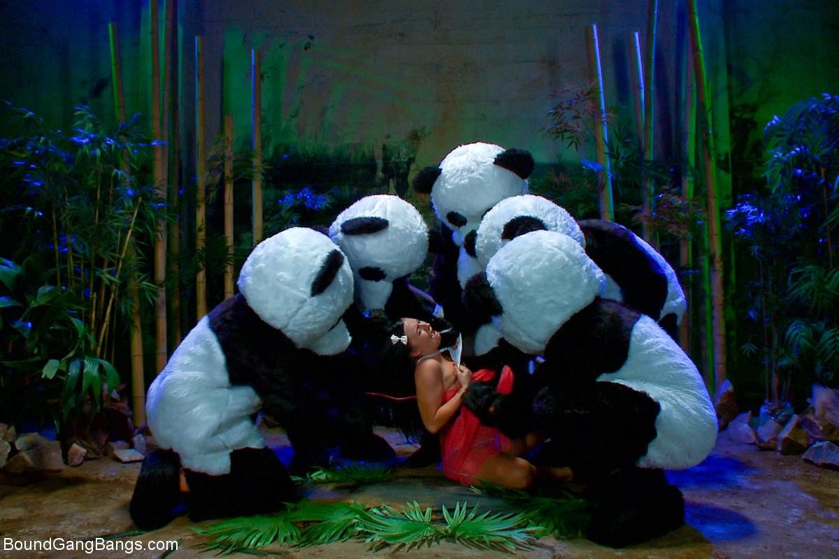 Babe gets gangbanged by a pack of angry panda bears #71970064