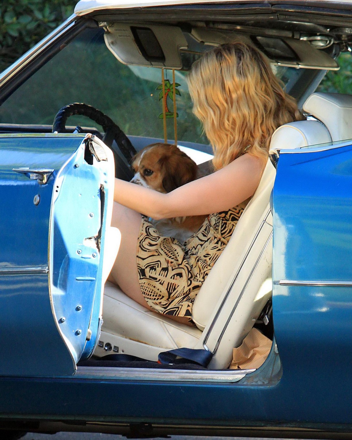 Mischa barton upskirt im Minikleid bei einer Reifenpanne
 #75326287