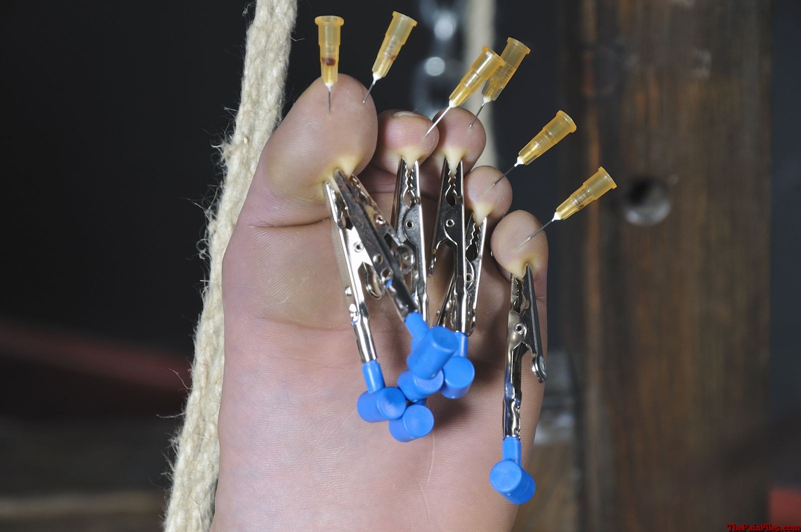Meis tortura de pies japonesa y dolor de agujas para masoquista bastinado slavegirl en 
 #72057923