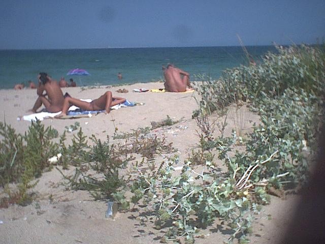 Unbelievable nudist images #72294120