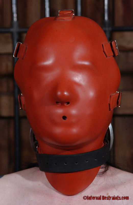 Sybil Hawthorne ist sichtlich erschüttert, bevor pd überhaupt berührt 
 #72039597