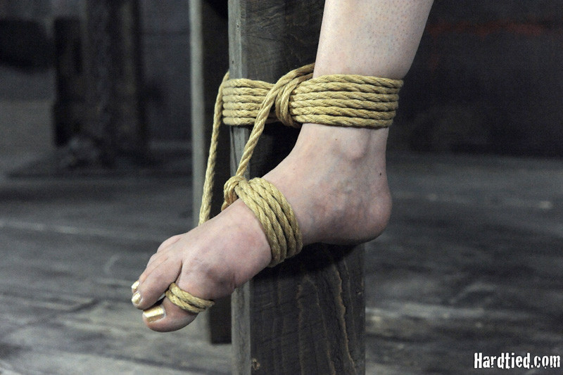 Claire adams es una estrella caliente con una racha de maldad de una milla de largo. cuando ella consigue su ha
 #72086904