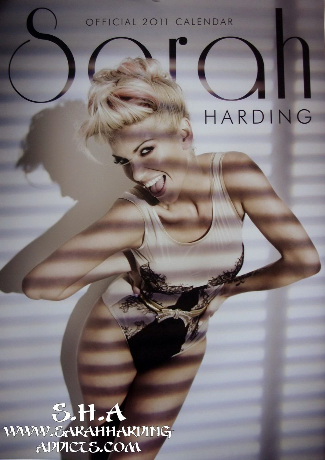 Sarah Harding nude  wearing lingerie for her official 2011 calendar #75332438