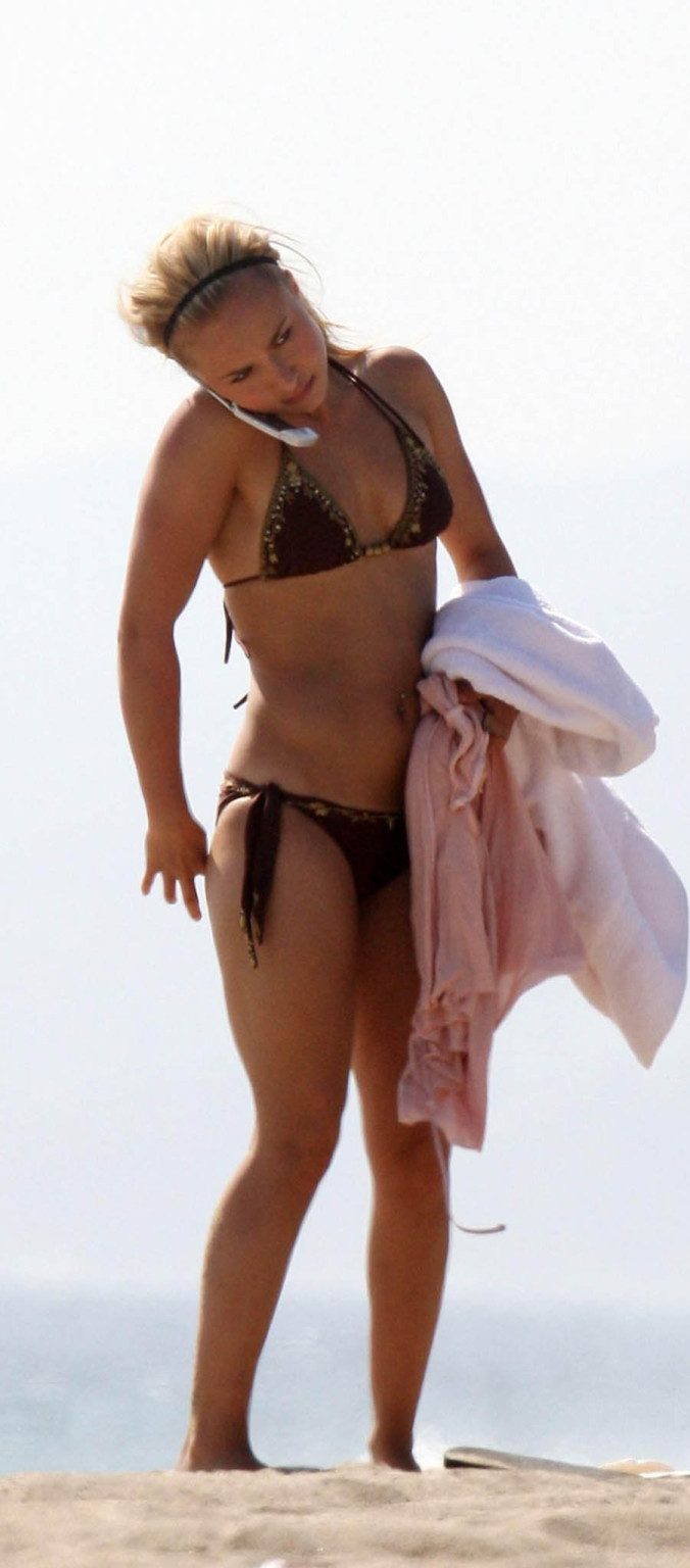 Hayden Panettiere celebrity in bikini at the beach pictures #73175899