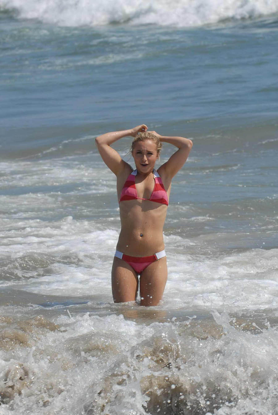 Hayden Panettiere celebrity in bikini at the beach pictures #73175930