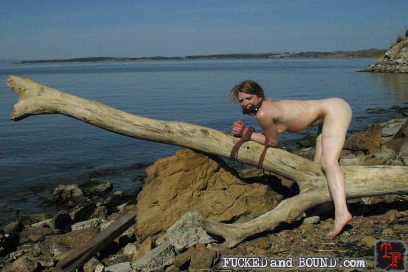 Fired up Madison Young acquiring rough intercourse in drinking water bondage #72164722