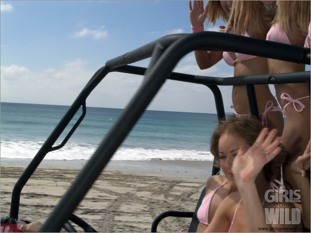 College babes in bikinis driving a buggy on the beach #72321927